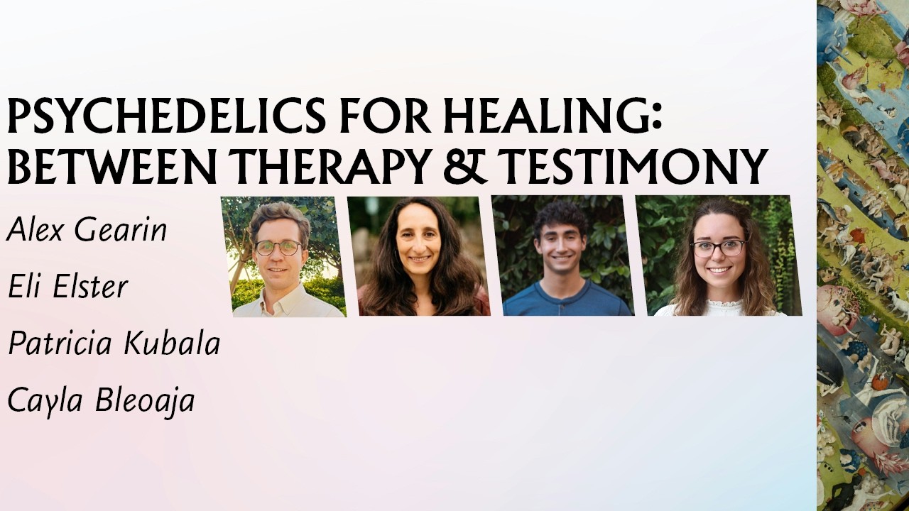 Speakers at the Psychedelics for Healing panel
