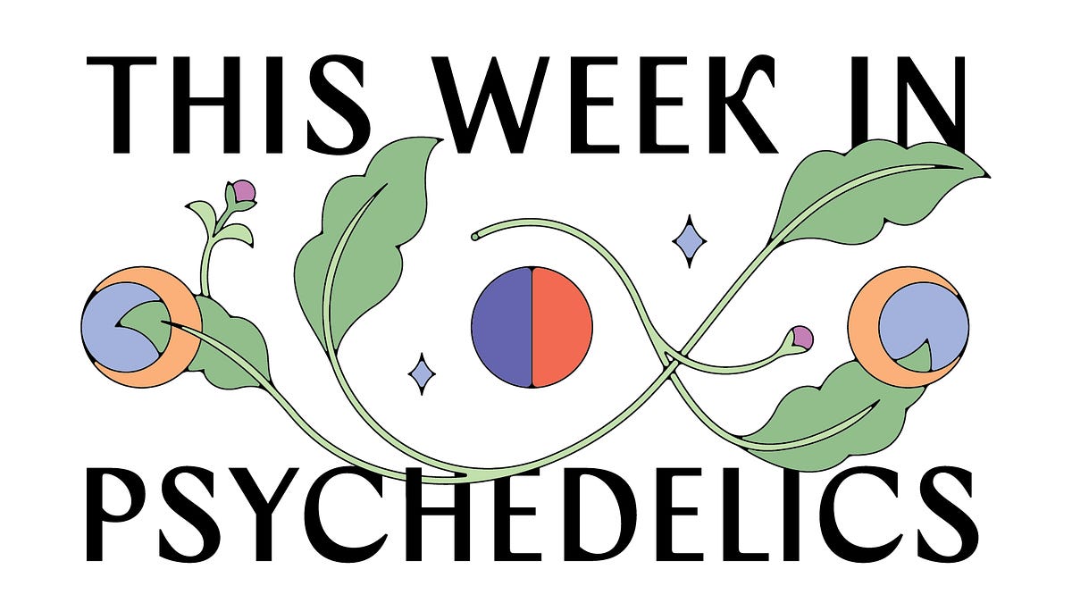 Psilocybin mushrooms accompanying The Microdose article