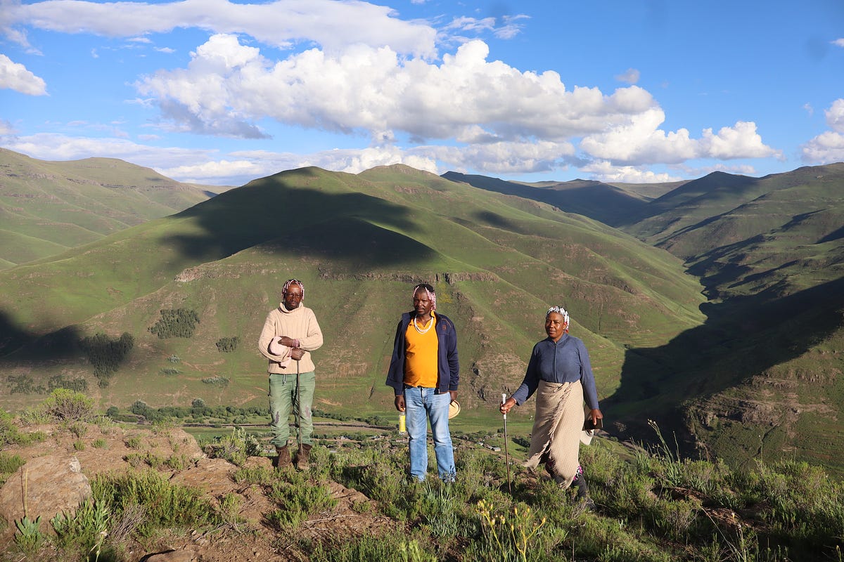A mushroom in the mountain grass of Lesotho