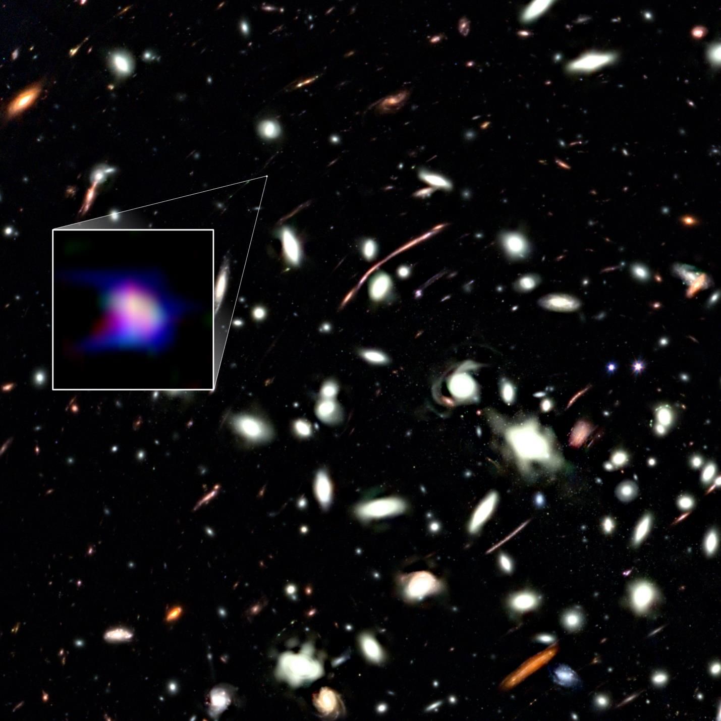 A distant galaxy magnified by gravitational lensing