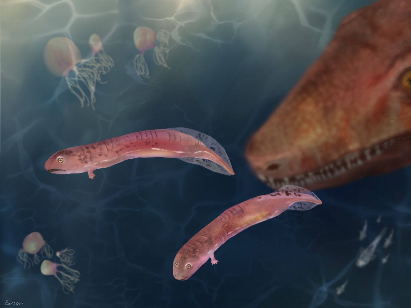 Illustration of an ancient vertebrate fossil